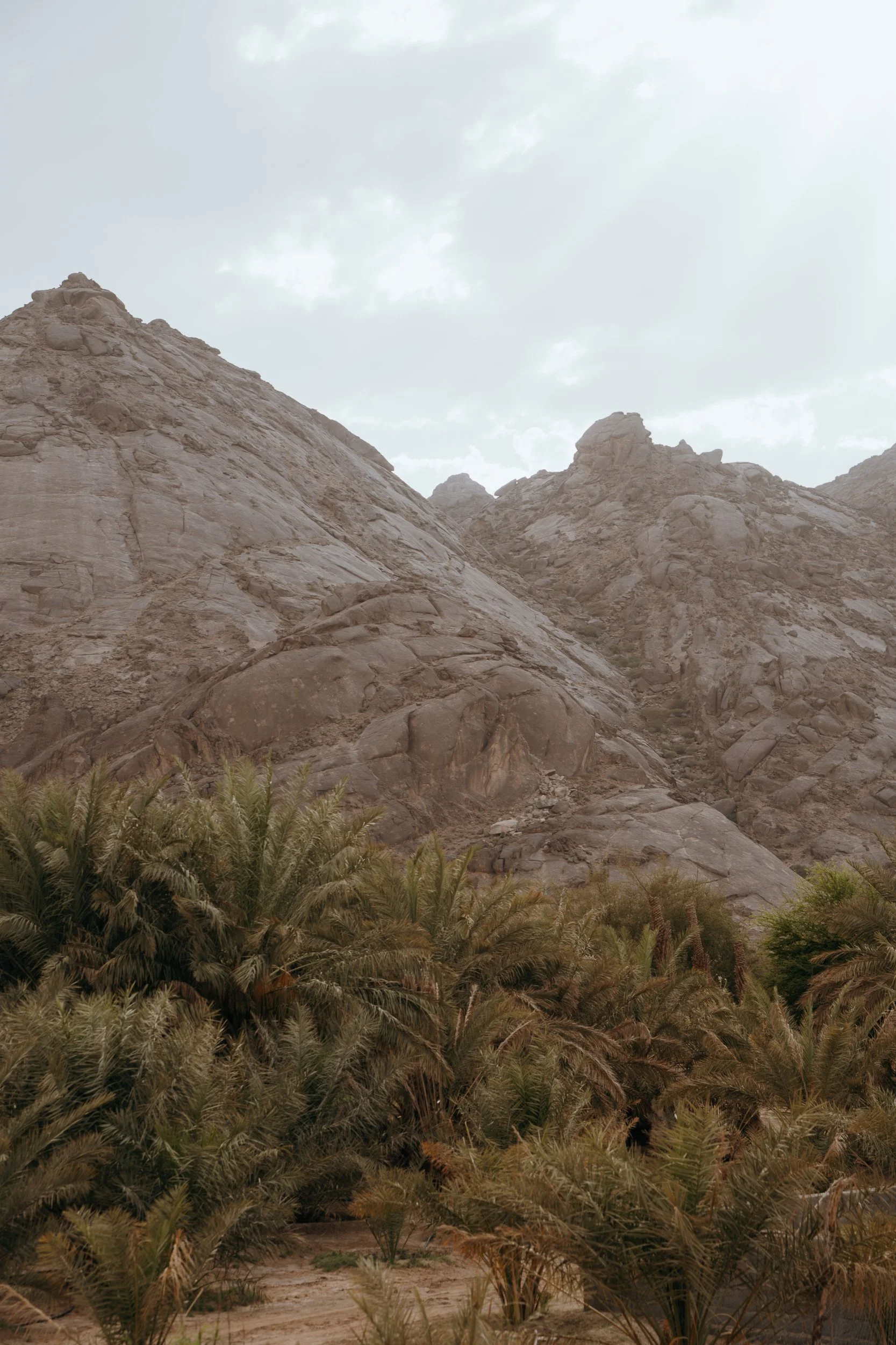 saudi-033.jpg