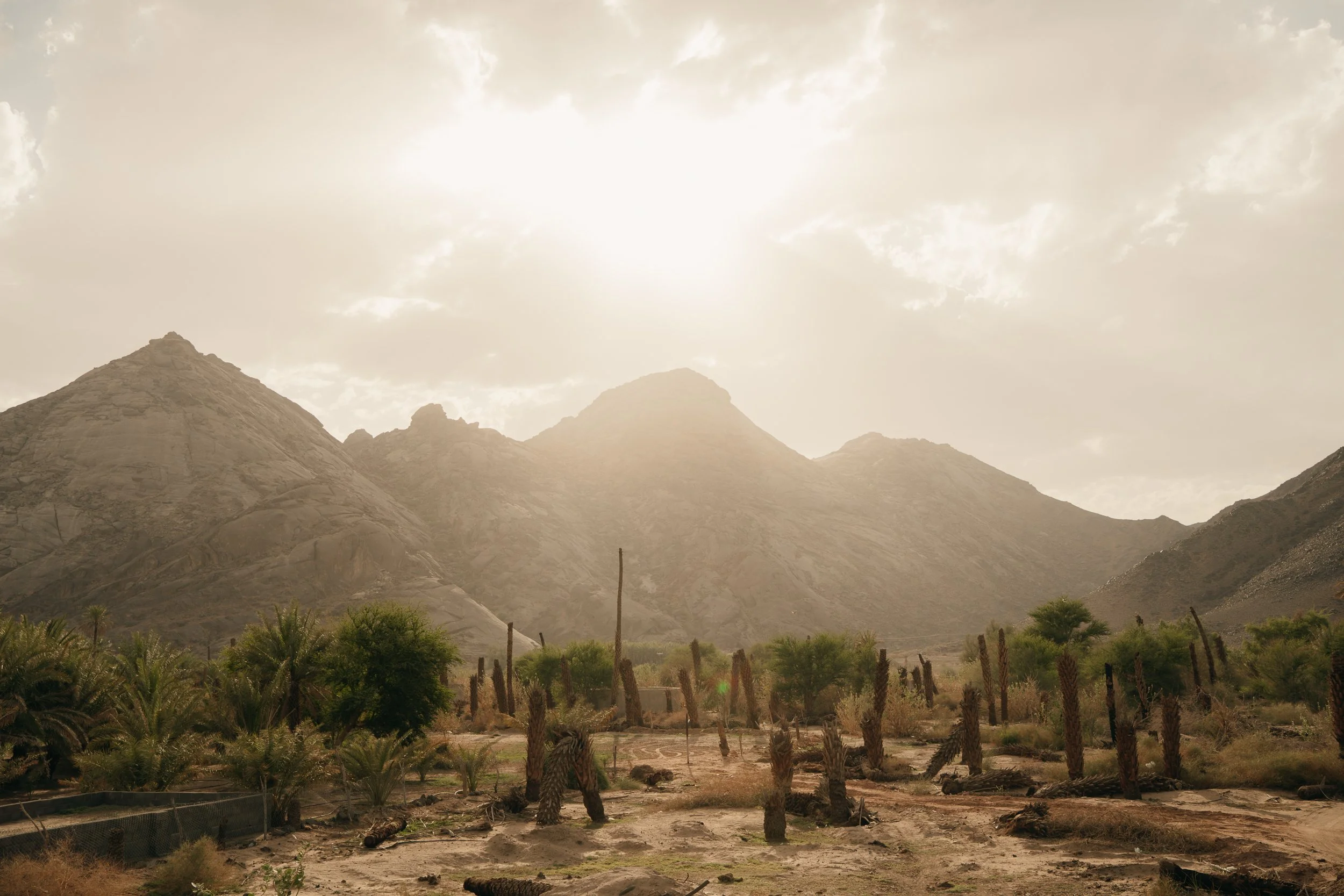saudi-034.jpg