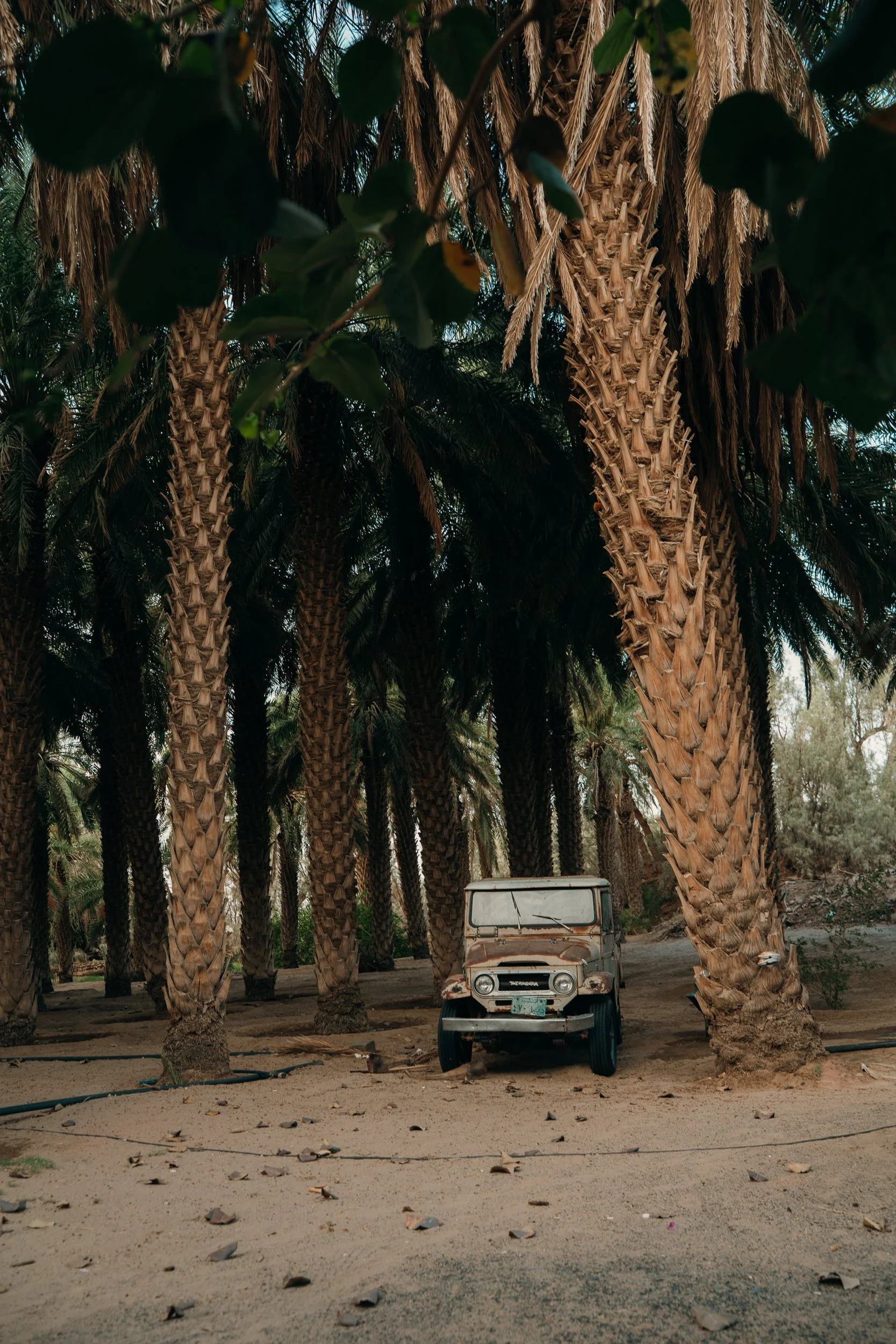saudi-037.jpg