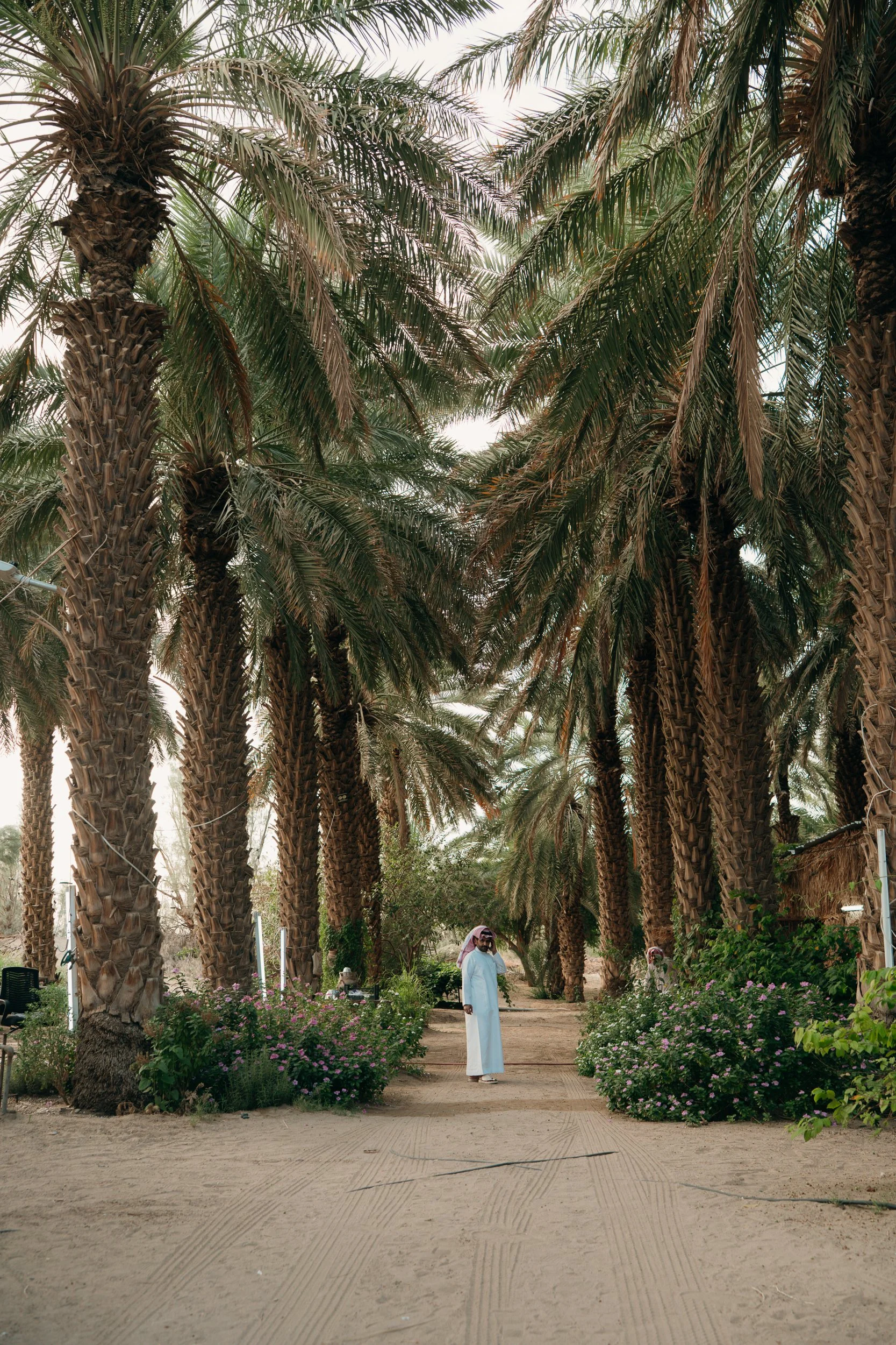 saudi-038.jpg