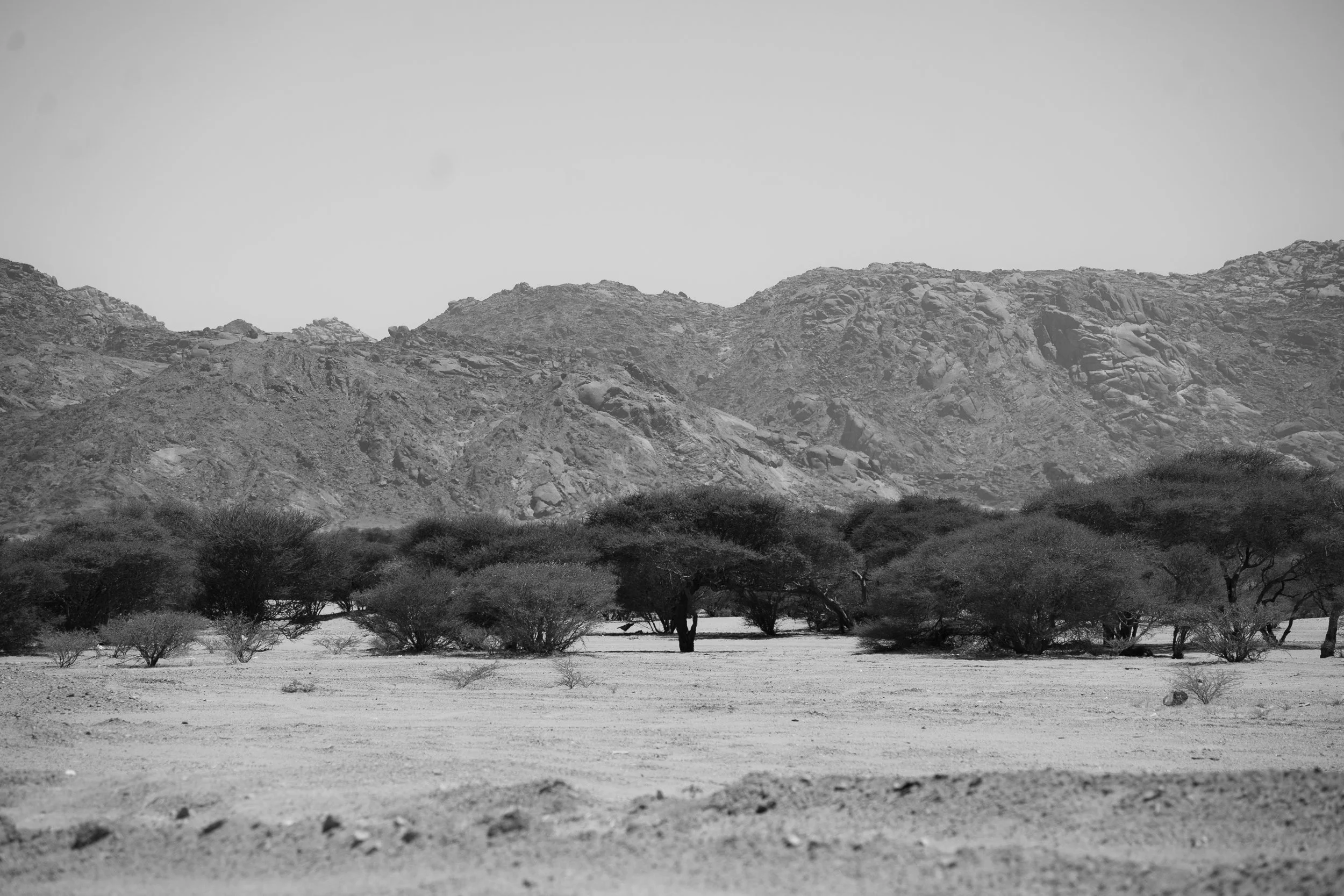saudi-049.jpg