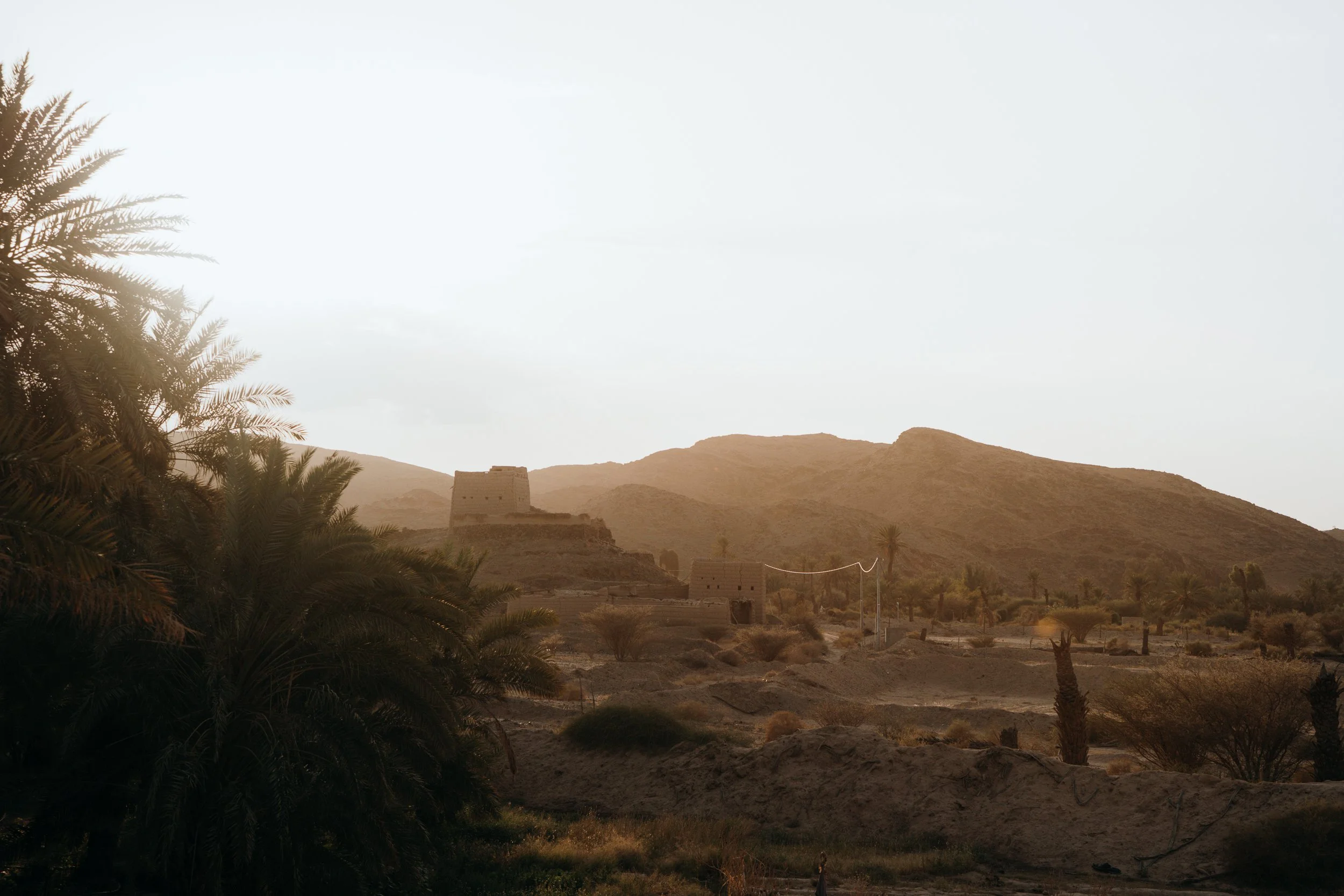 saudi-059.jpg