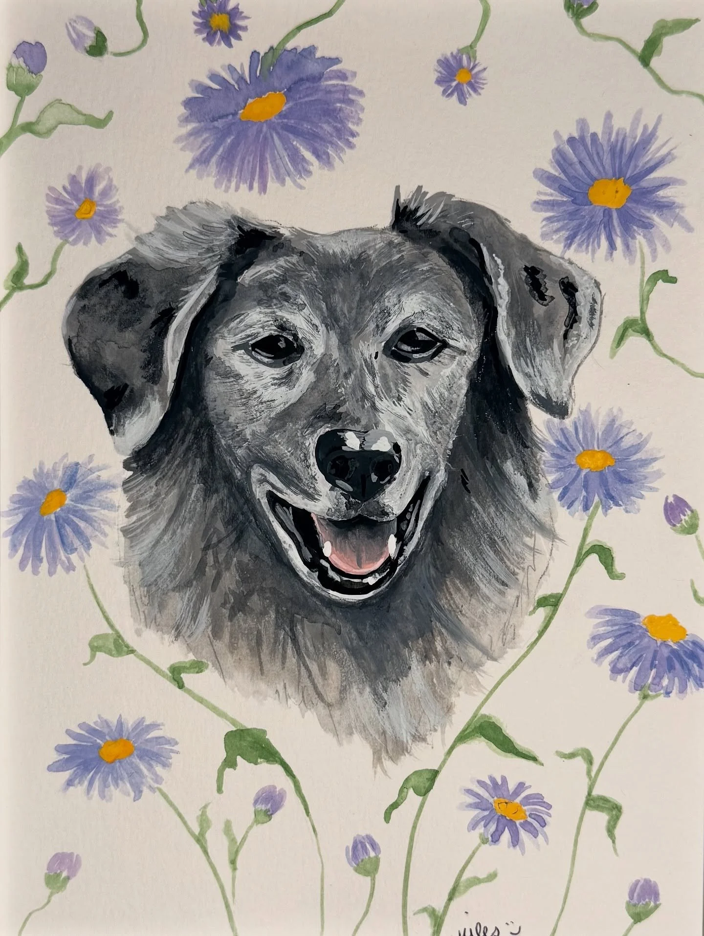 Not to be all &ldquo;name a more iconic dog I&rsquo;ll wait&rdquo; but&hellip;&hellip;.everyone knows Gatsby was a national treasure 🩷 honored with some asters🪻