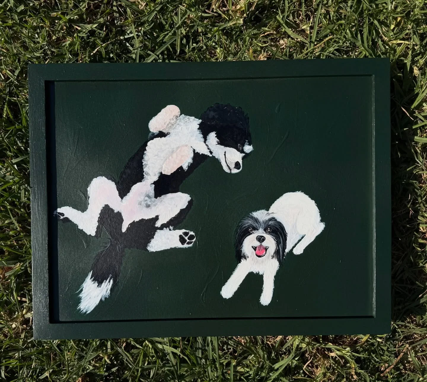 Two cutie patooties off to their new home for Xmas ☯️