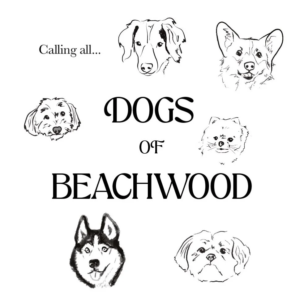 Local friends! I am working on a Dogs of Beachwood calendar and want to include a drawing of as many local pups as I can. ☺️

If you want your dog included dm me a pic and name!
If you&rsquo;re not in the area but interested in something similar and 