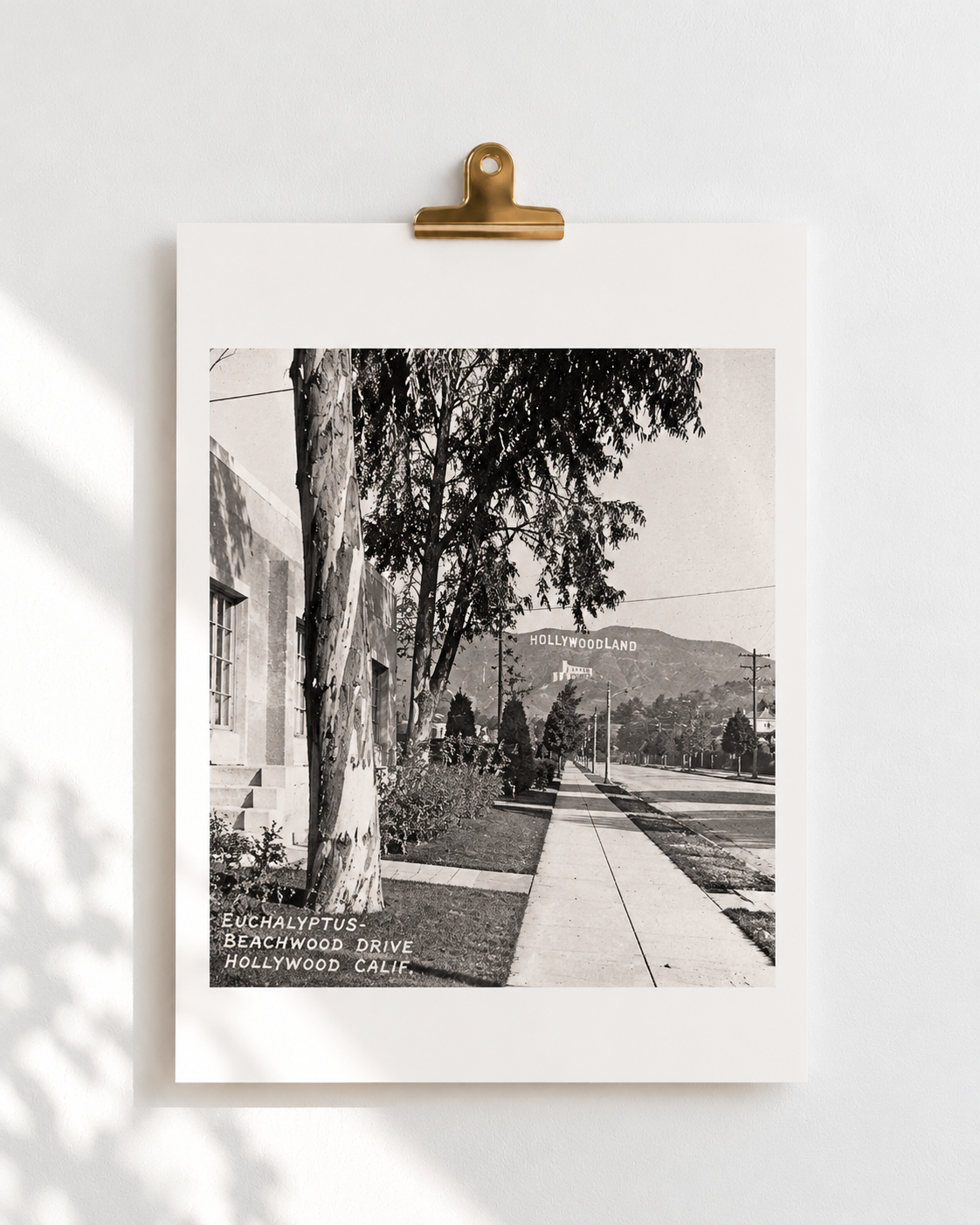 Vintage Hollywoodland Postcard Print.png