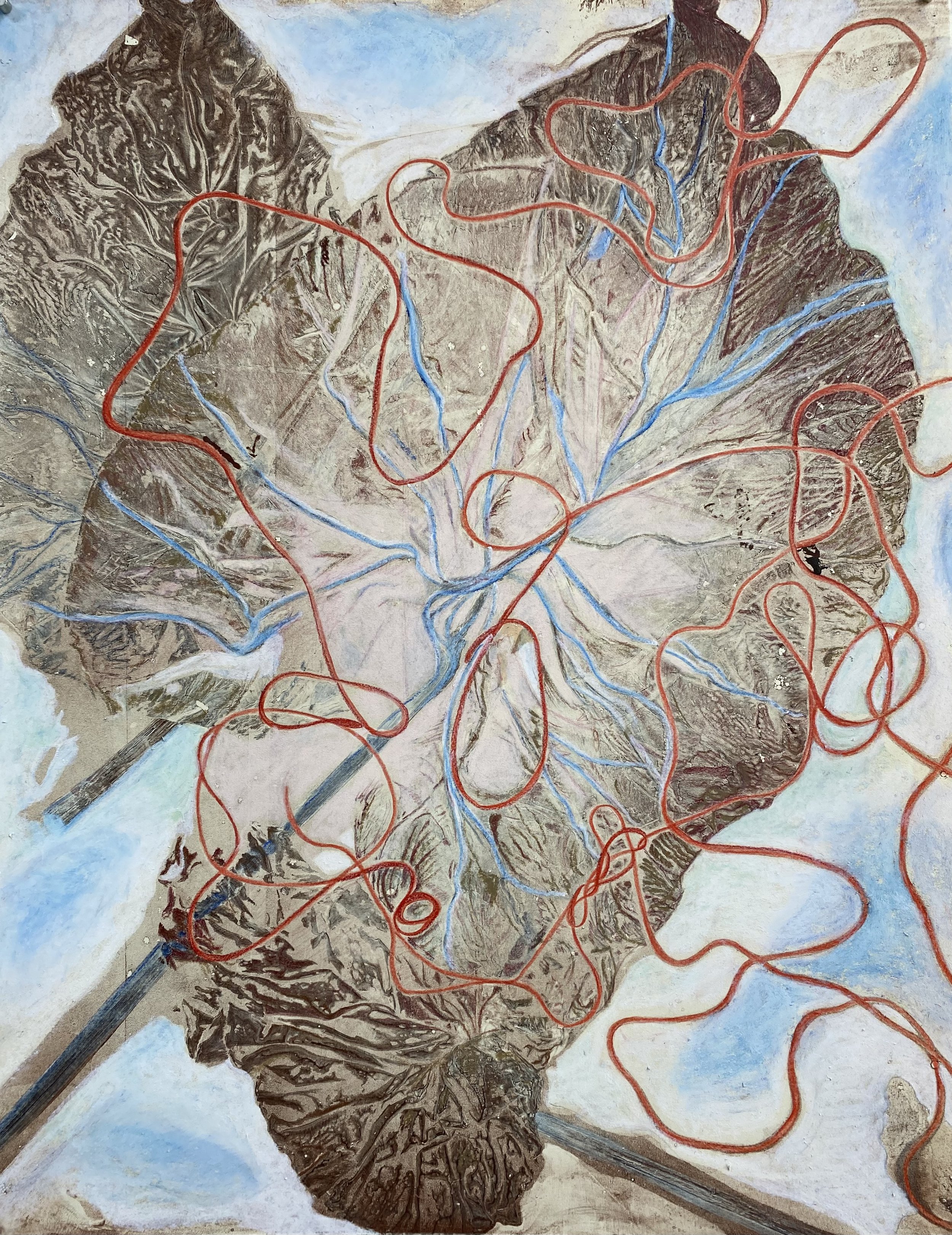 Emergence, size, Gelatin print, Prismacolor, and oil pastel, 2026