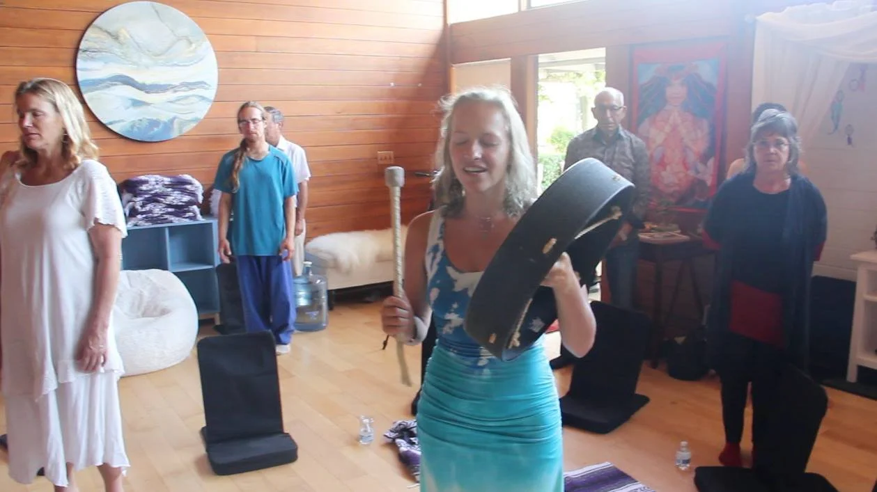 Shaman Song Holly Baade