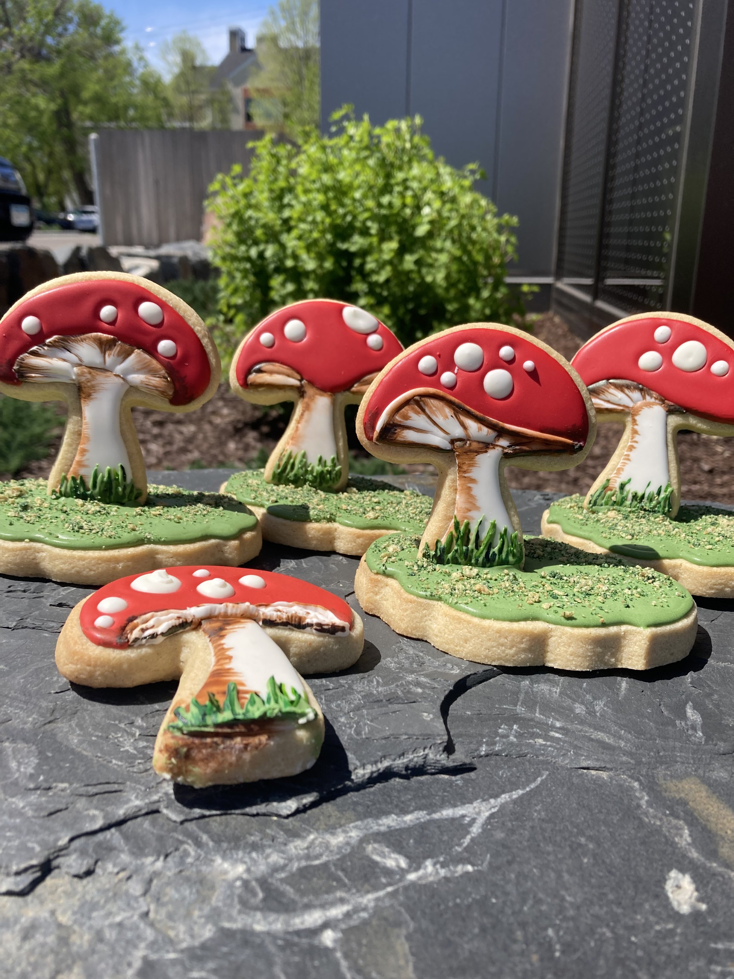 Mushrooms on a rock.jpg