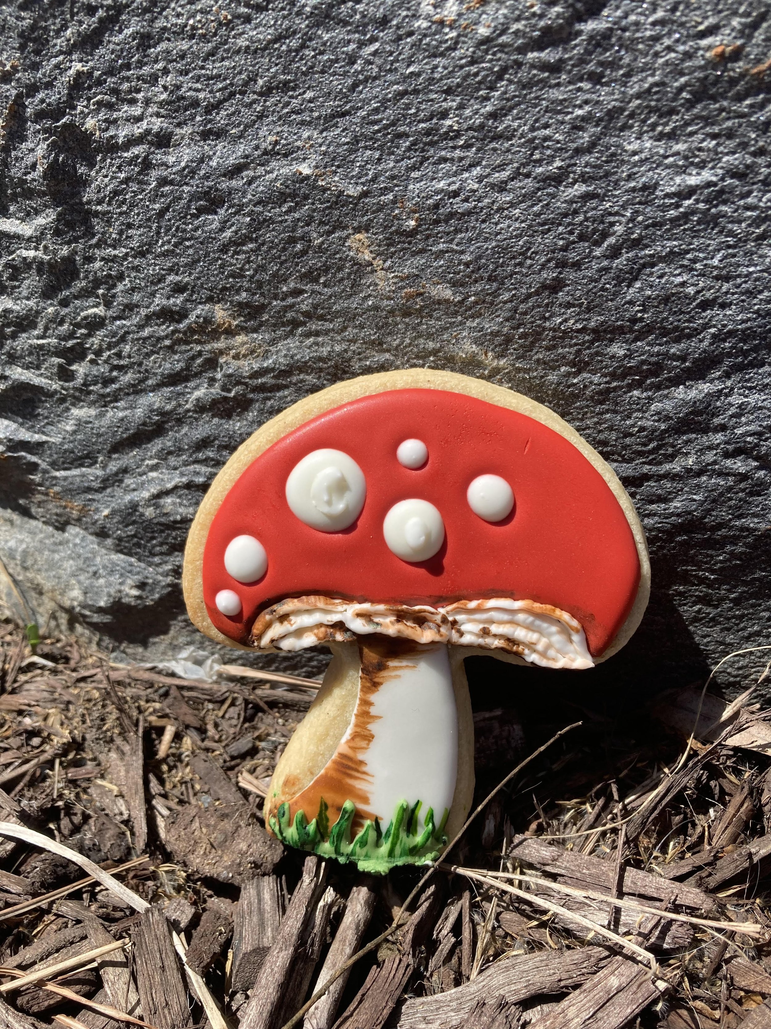 Single mushroom.jpg