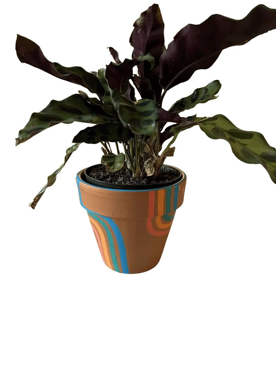 Terra Cotta Pot Painting Workshop