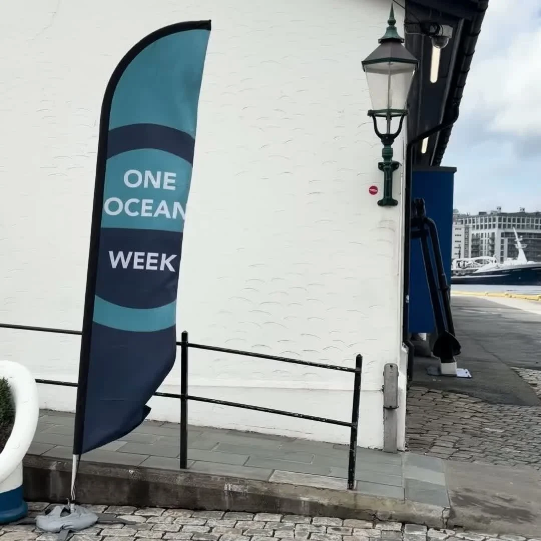 ⛵ We are "in the same boat" ⛵

Chief of Staff, Max Stevenson, shares some moments from his time exploring the innovative developments and technologies that Norway has introduced to address our impact as humans on our planet.

🌍 This Earth 