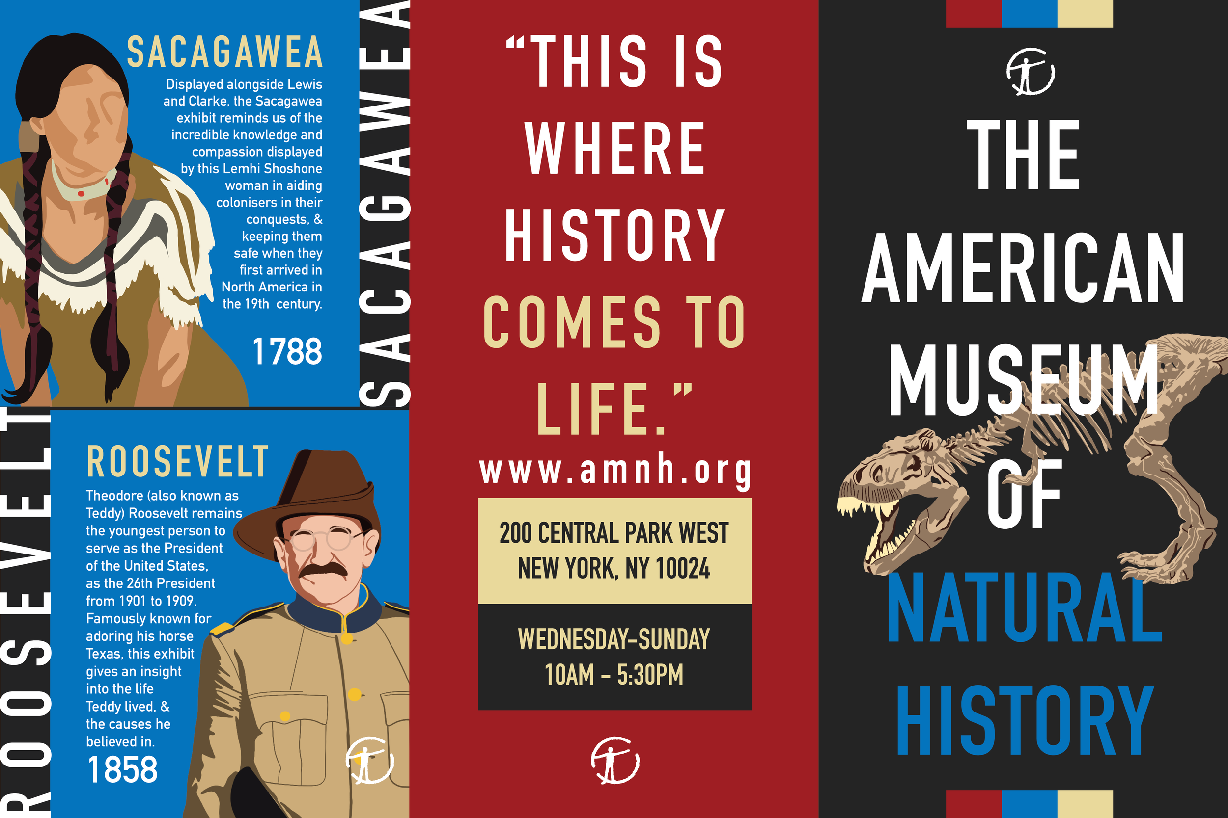 American Museum of Natural History Brochure Design