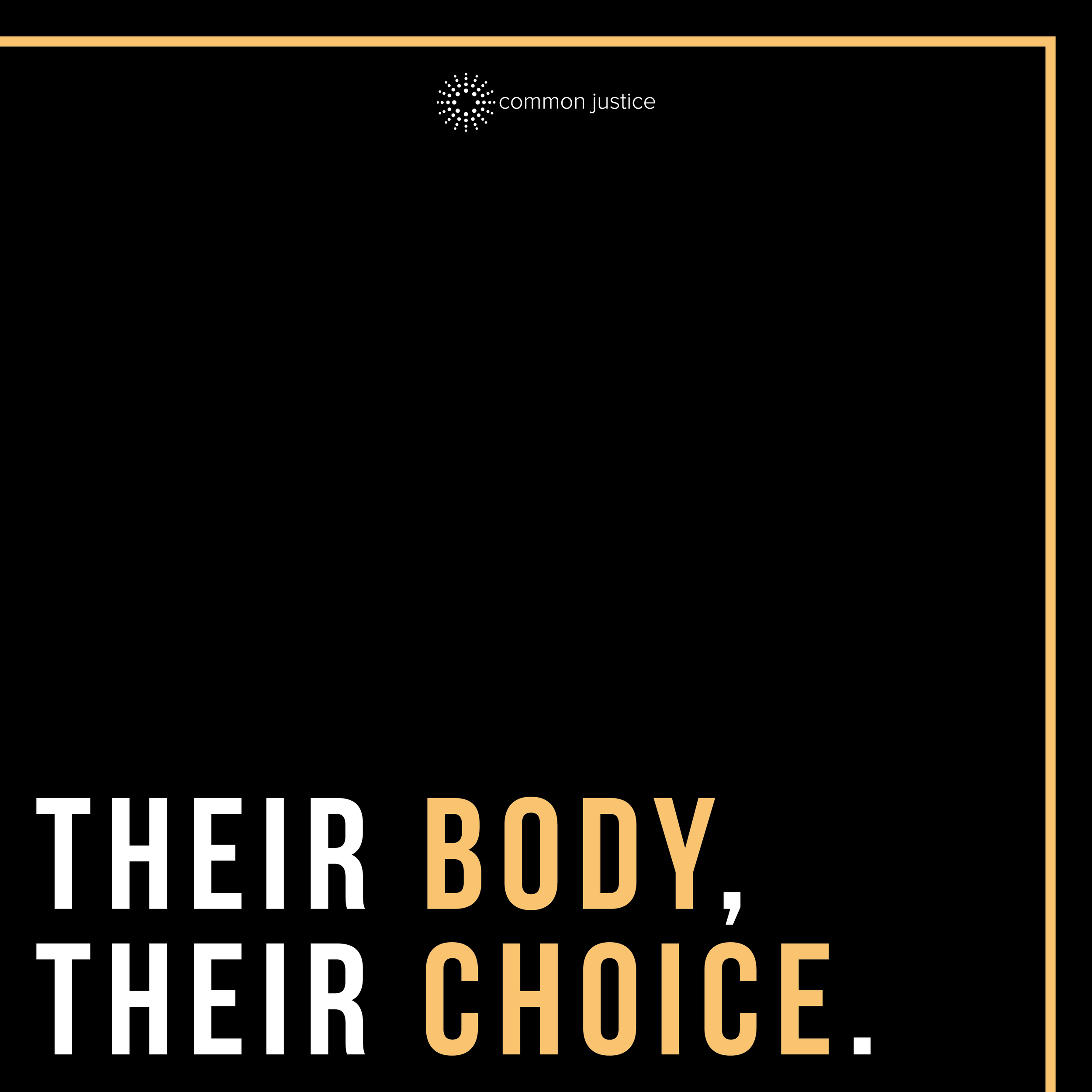 Abortion Blog IG Graphics7.png