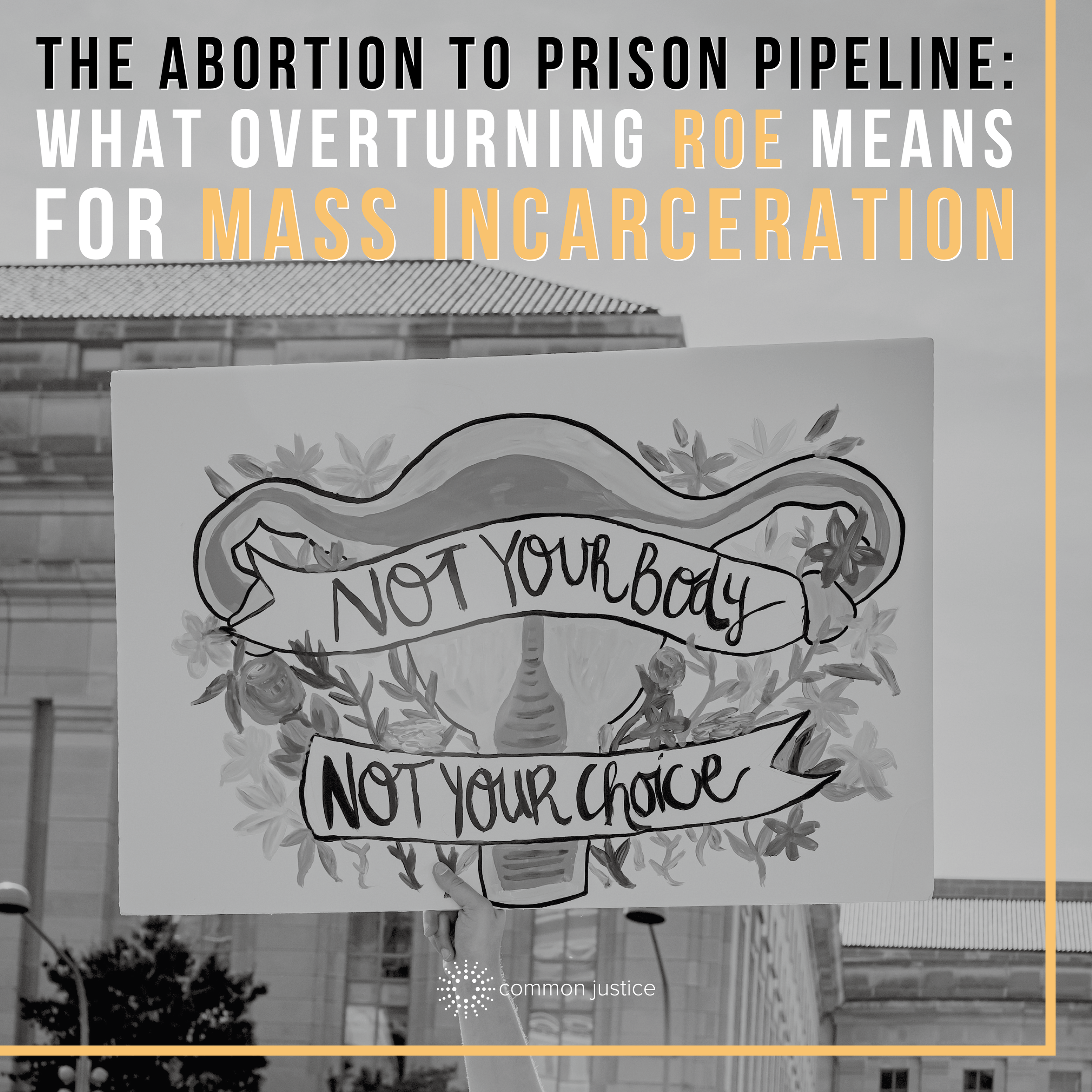 Abortion Blog IG Graphics.png