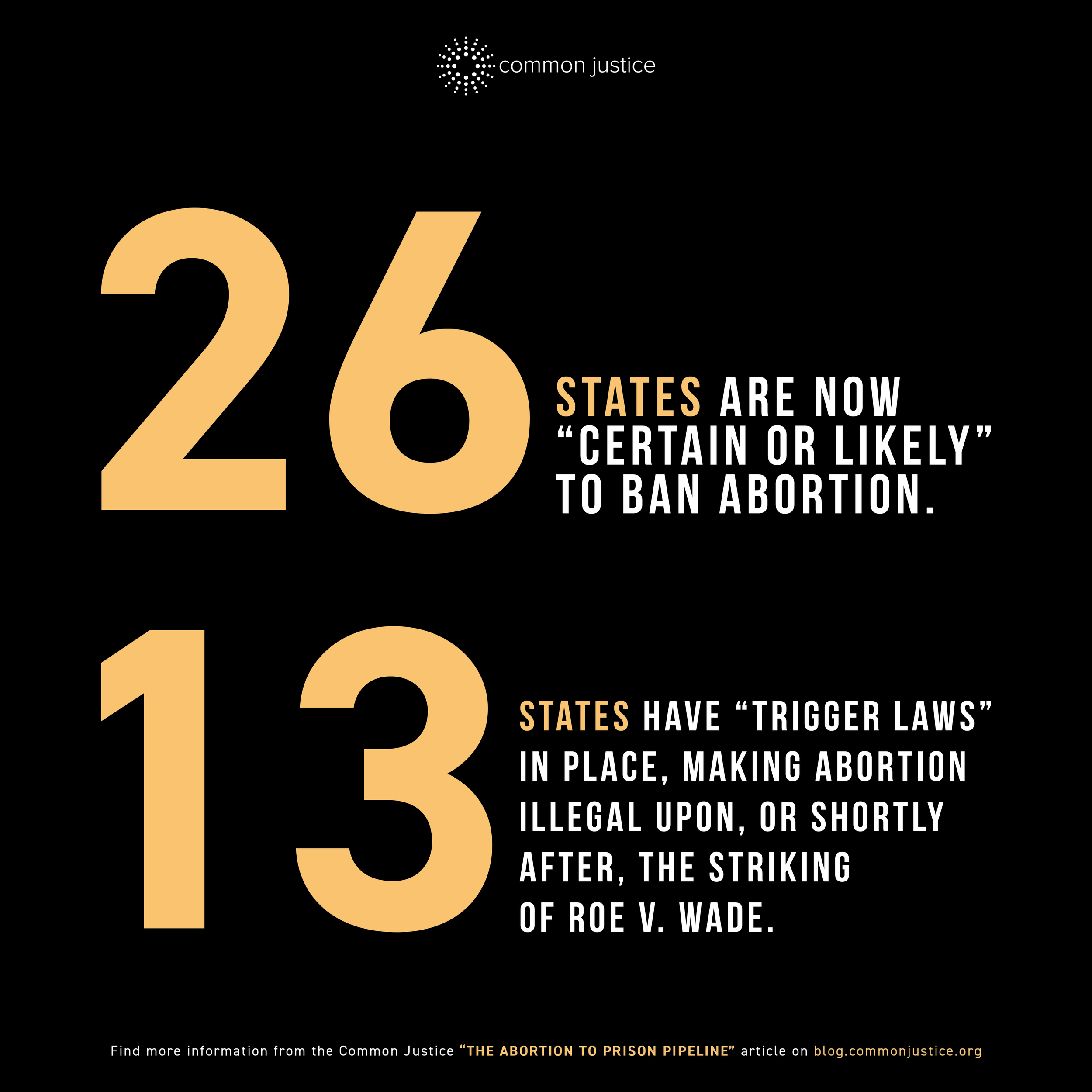 Abortion Blog IG Graphics2.png