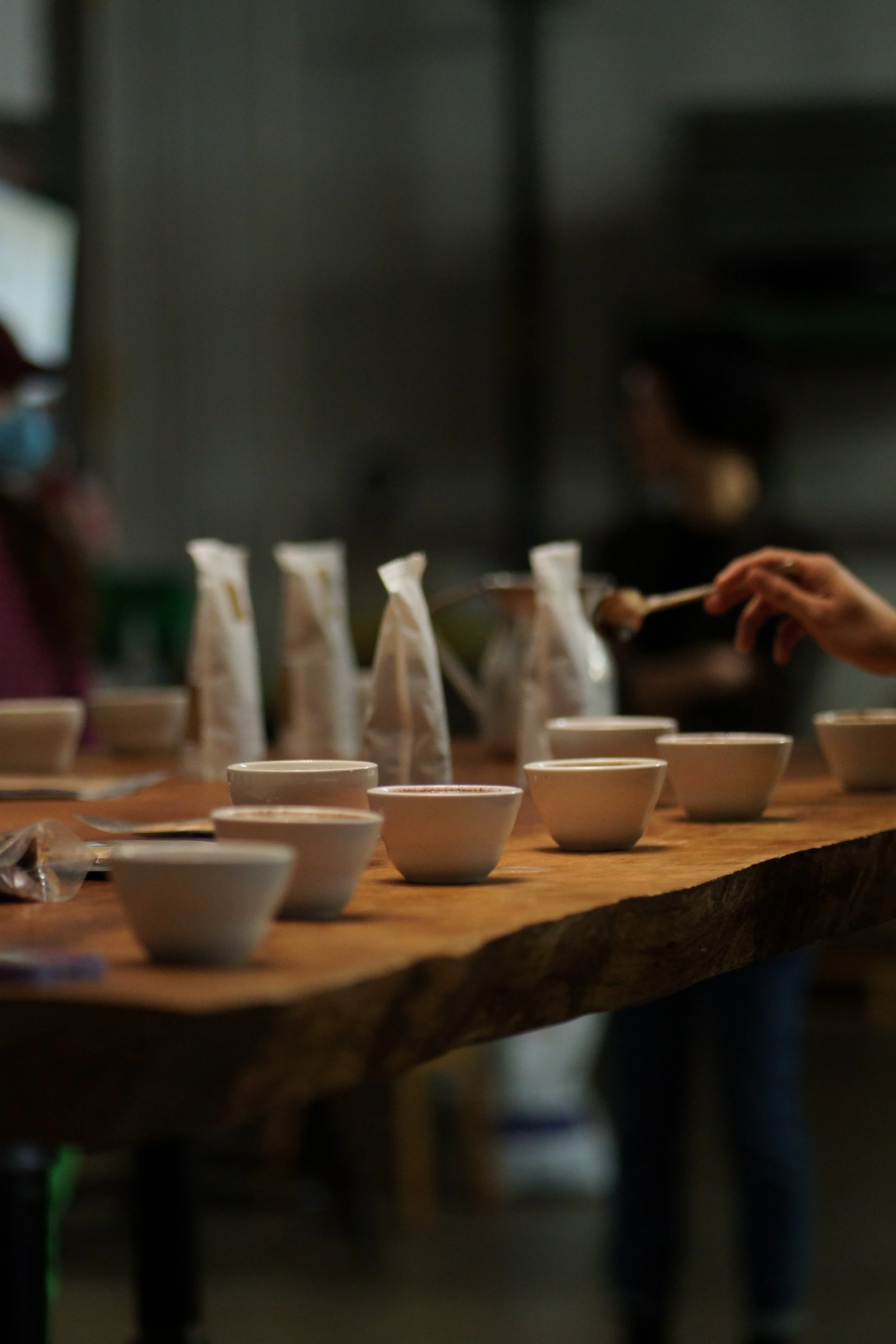 Roaster Showcase 