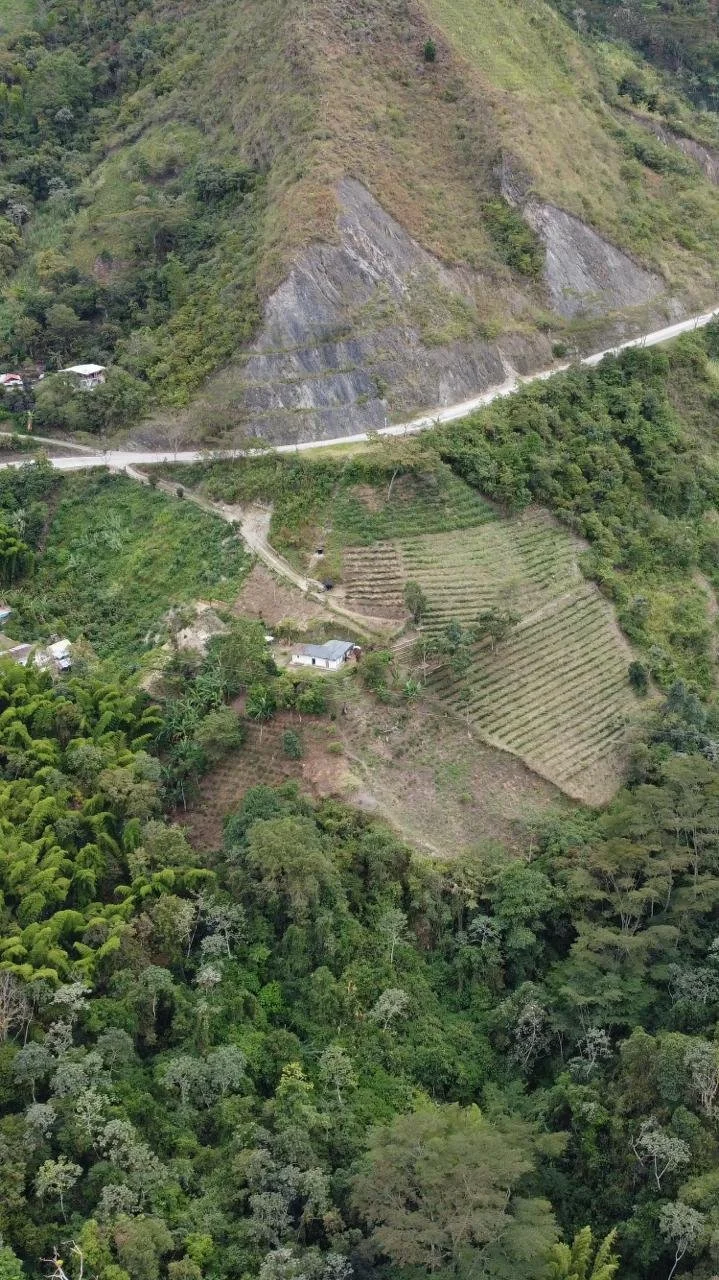 Green Forums: Finca La Argelia