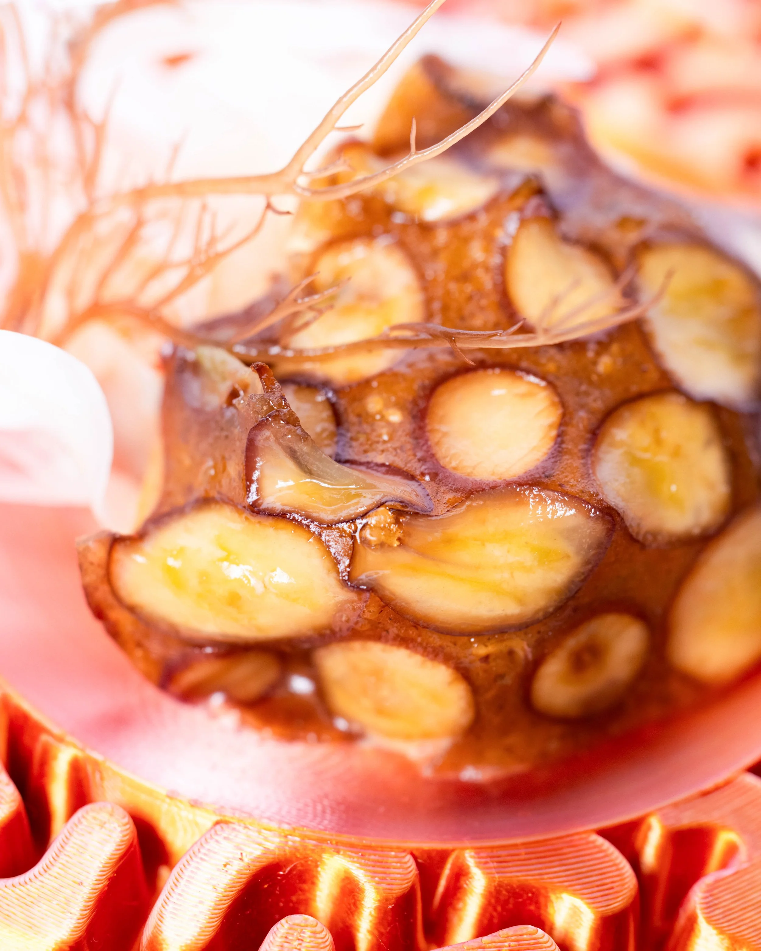 Food 1-39.jpg