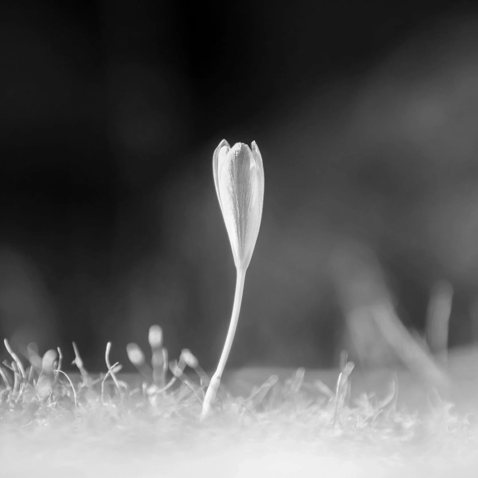 unsplash-image-XGthimcNy-4.jpg