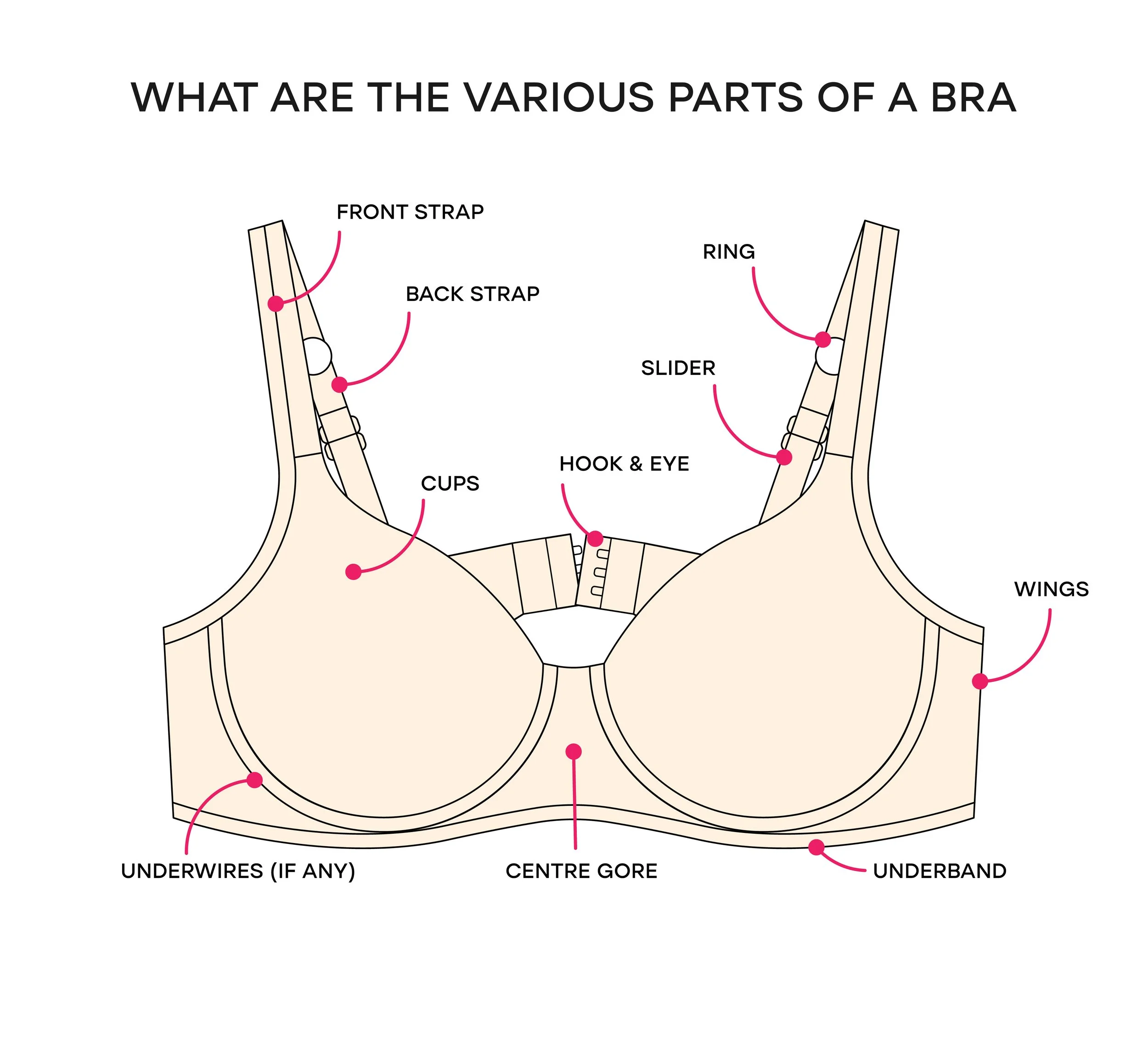 Elaine’s Step-By-Step Guide and Checklist for a Professional Bra ...
