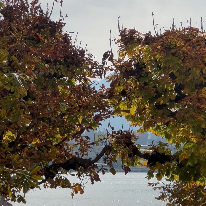 Last week in pictures 💭🤍 🍂 

#weekinphotos #lifestyle #october