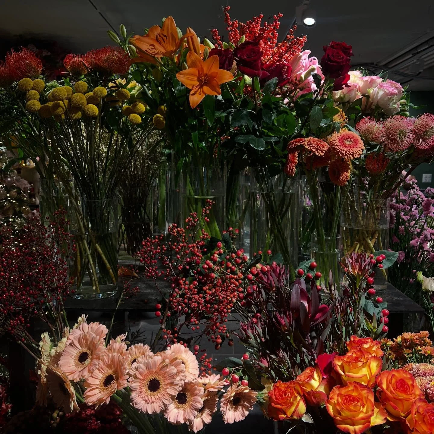 Last bits of November 🎄🤍🥺🪐