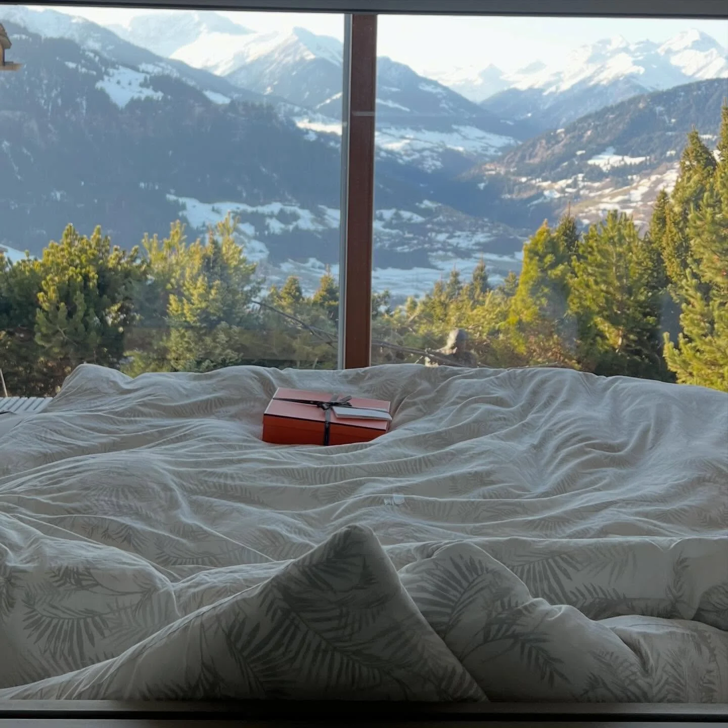 Who would have thought that an orange box and a messy bed could become aesthetic elements? 🧡✨

#mountains #switzerland #lifestyle #hermes #fashion