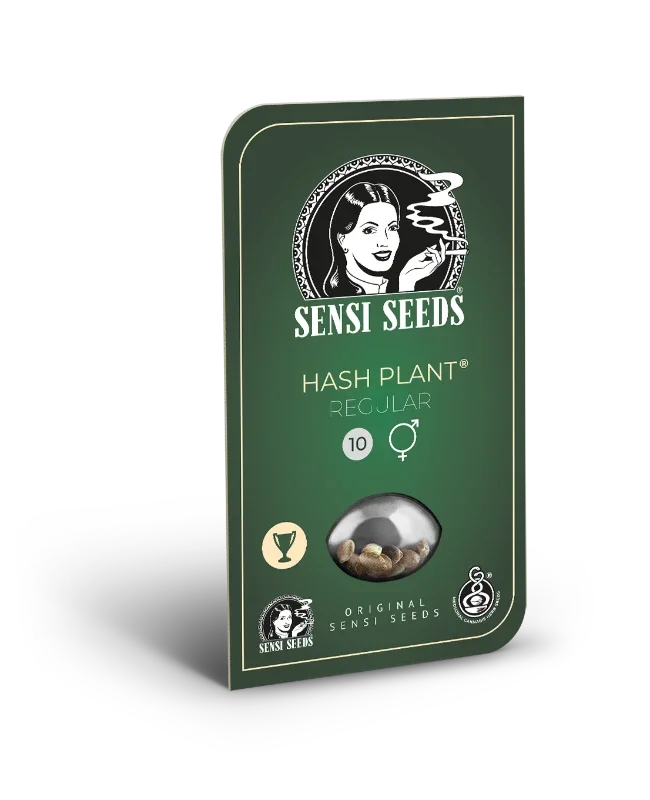0000868_hash-plant-regular-seeds_800.webp