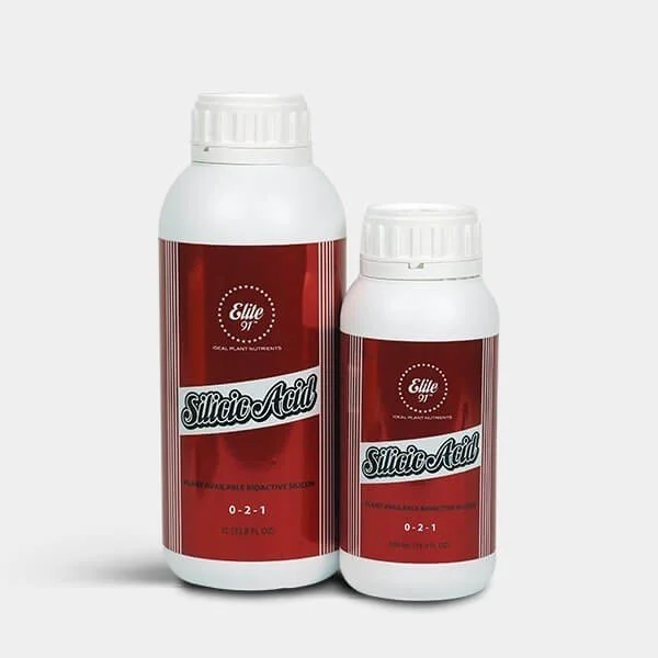 silicic-acid-elite-91.jpg