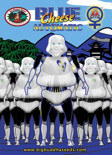 Big Buddah Cheese Auto 6 semillas feminizadas
