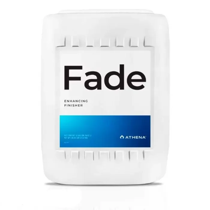FADE.webp