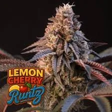 lemon cherry runtz.jfif