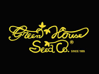 Kalashnikov (3 Semillas Auto)