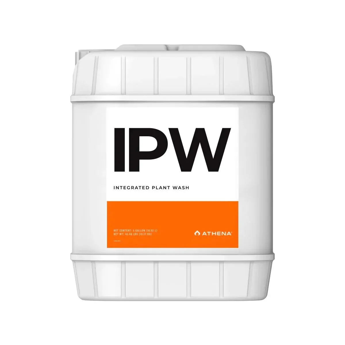 IPW2.webp