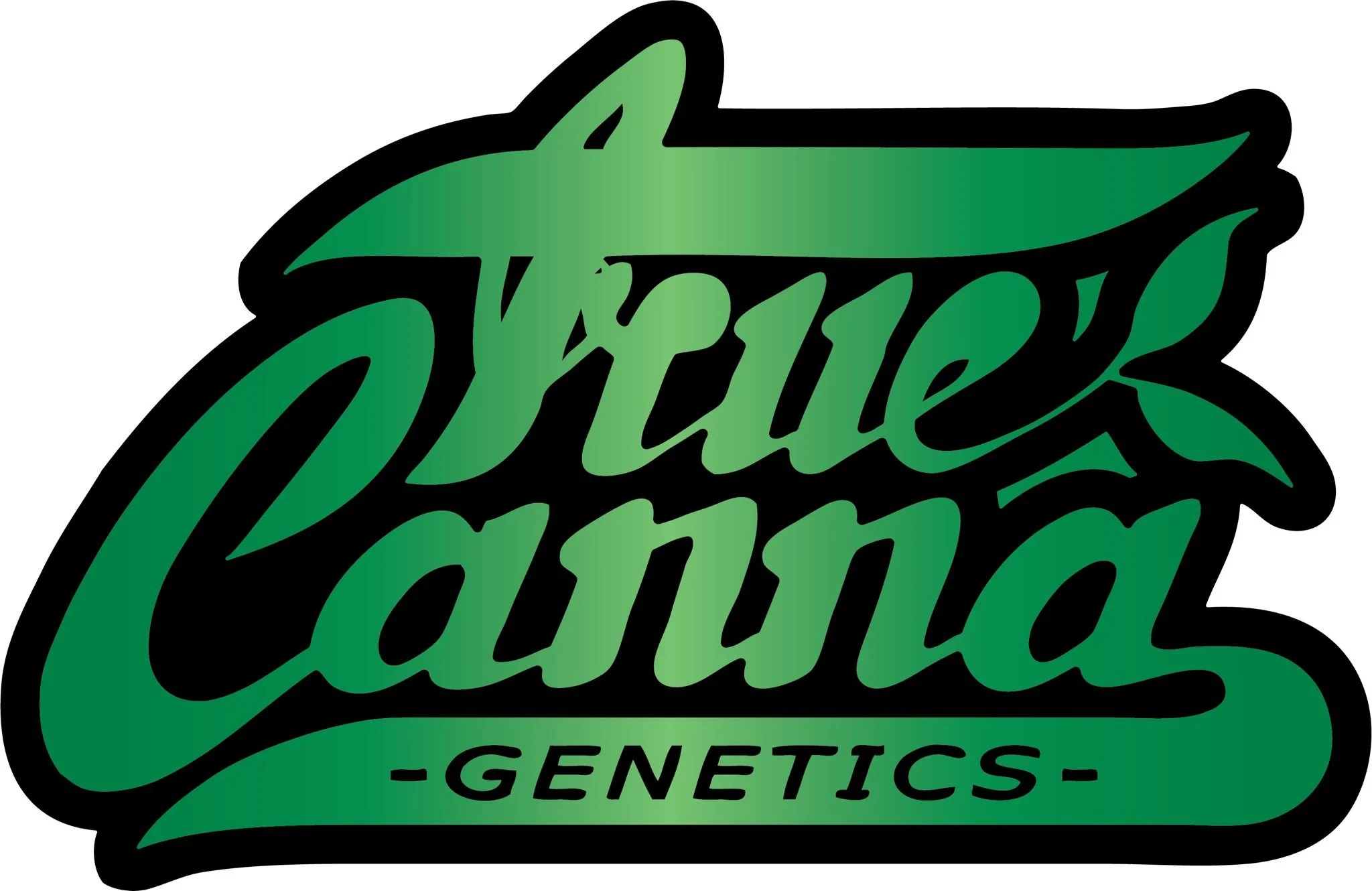 WhatsApp Image 2026-04-12 at 18.50.14.jpeg