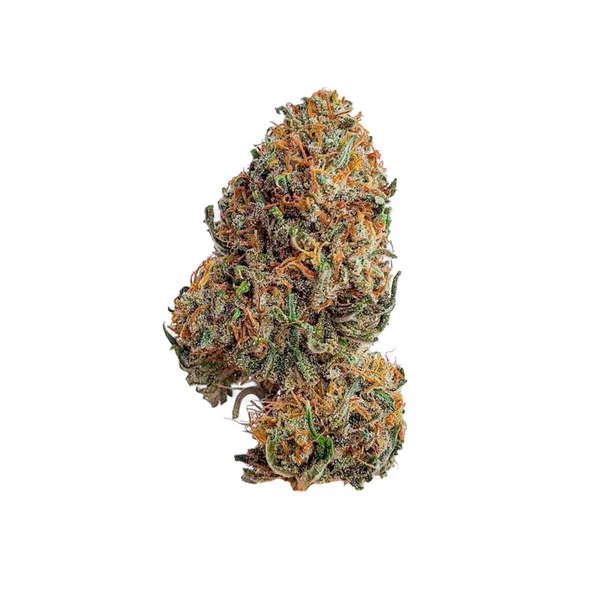 bubblegum-xl.webp