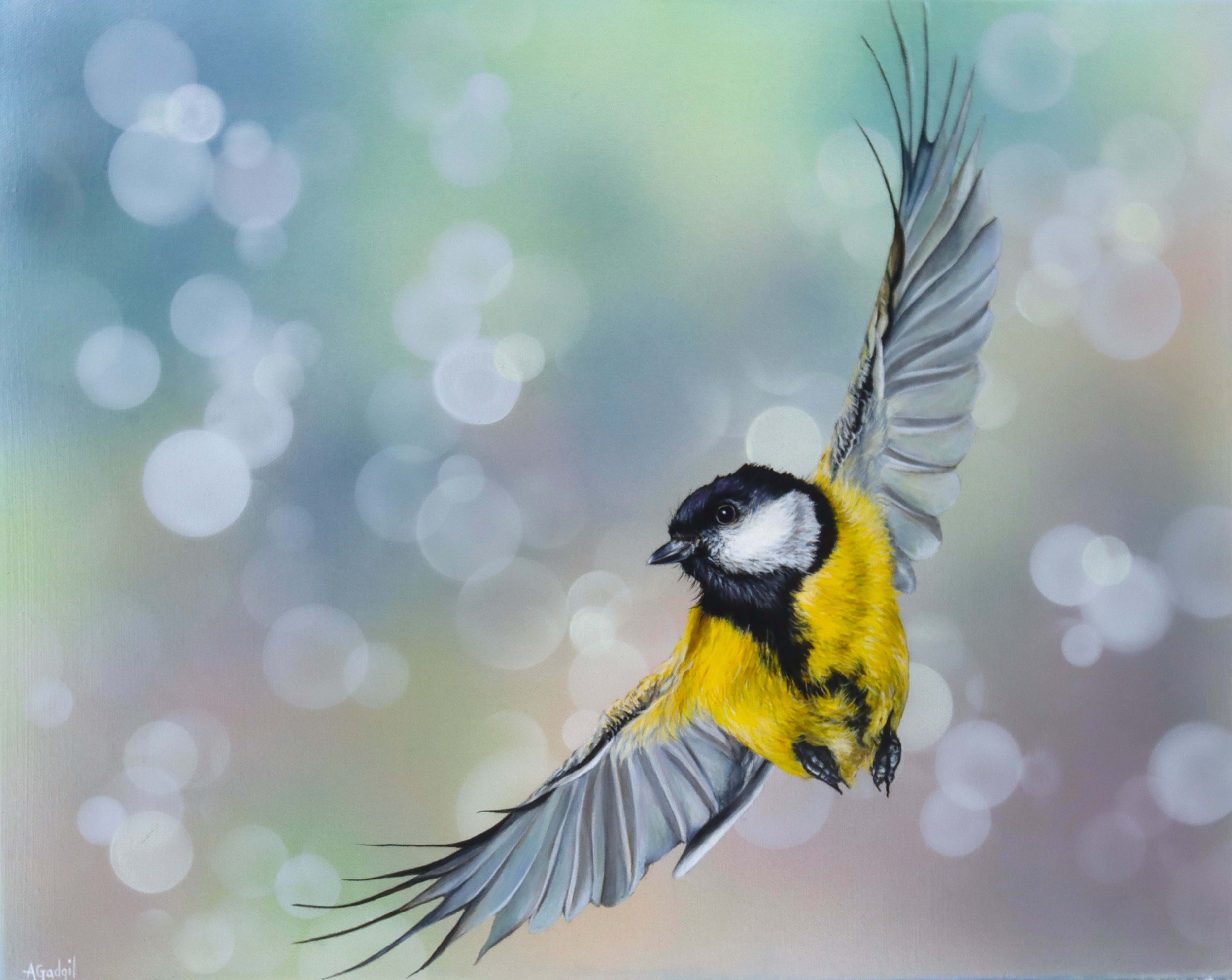 bluetit_web.jpg