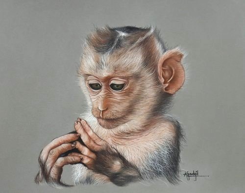 monkey-2.jpg