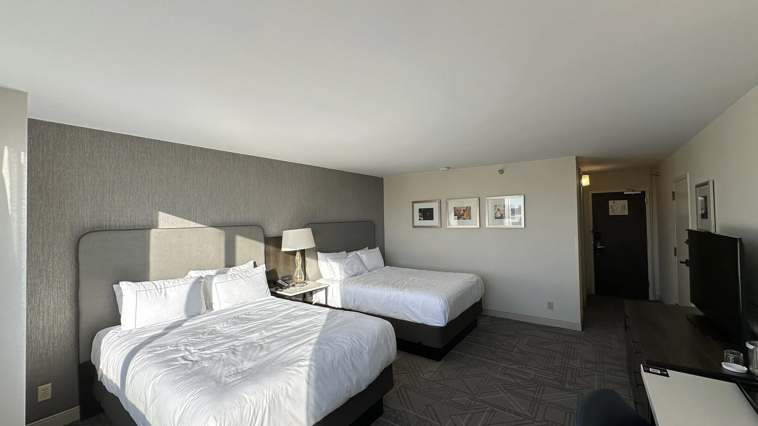 DT Hotel 3.jpg