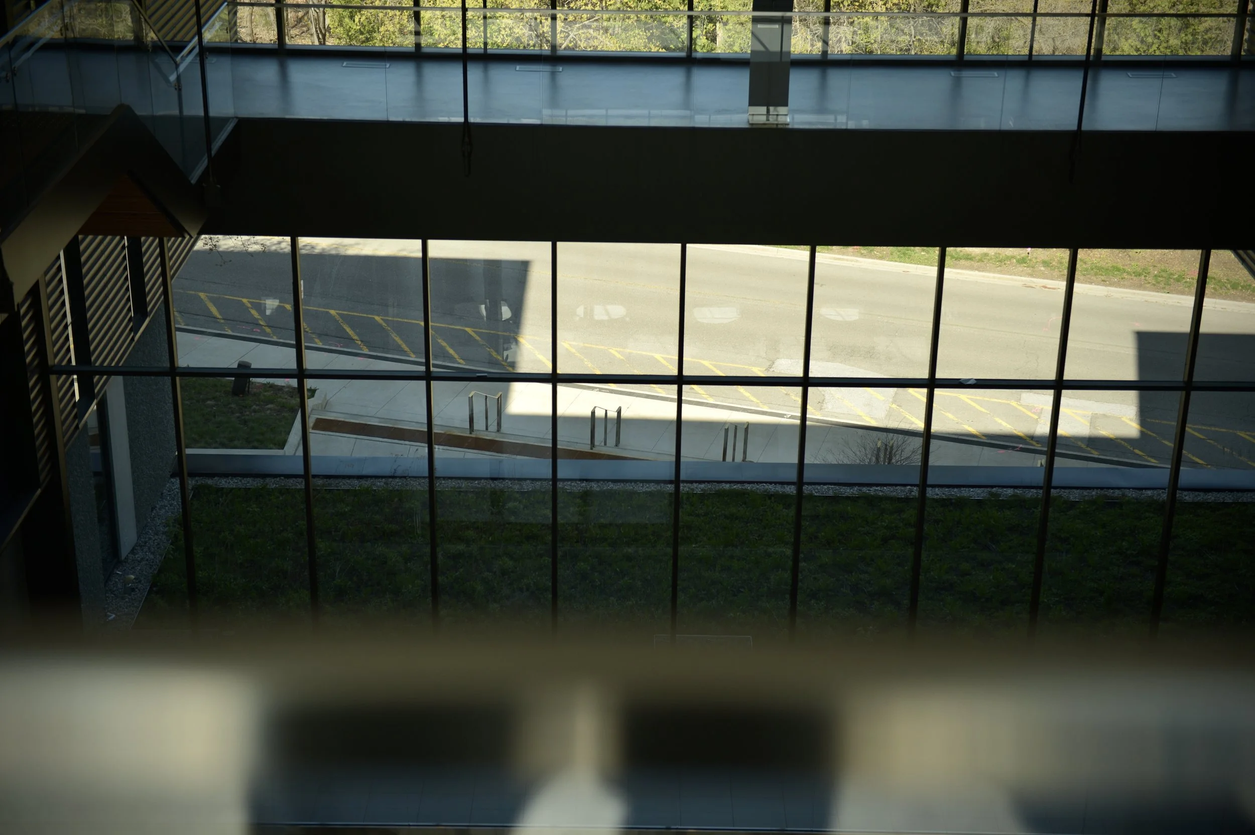 DSC_8768.JPG