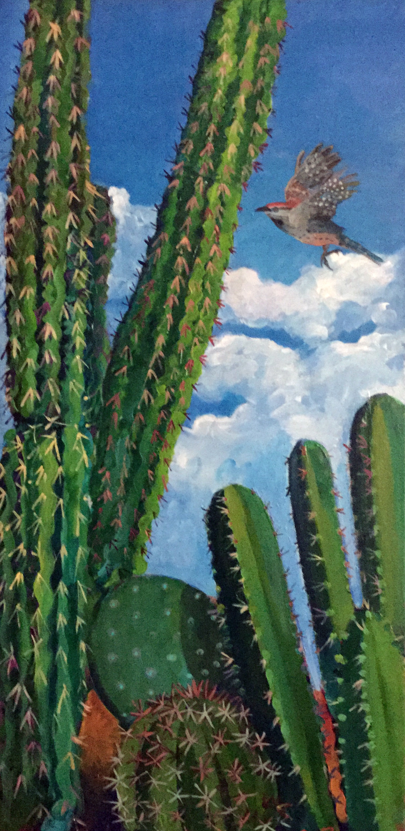 Cactus with birdie