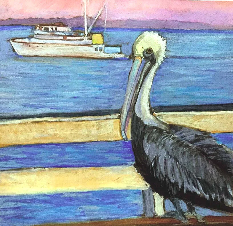 Pelicans desire 15x15"