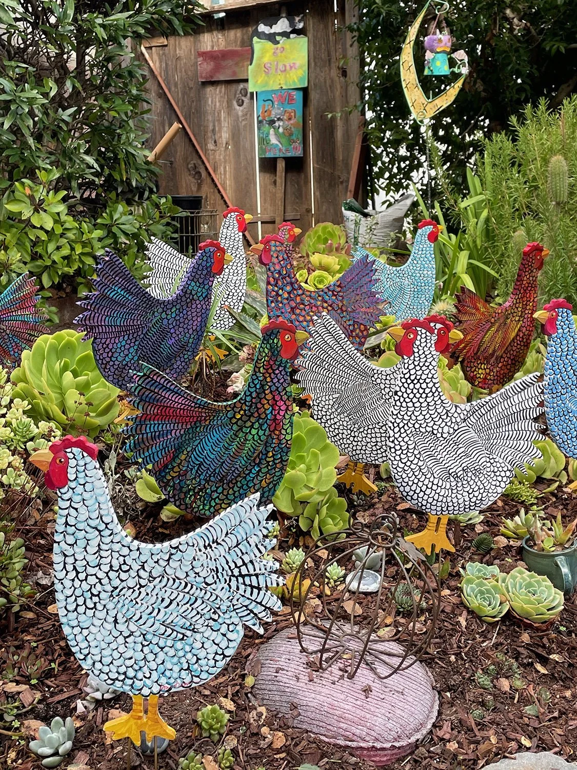 Chicken in the garden