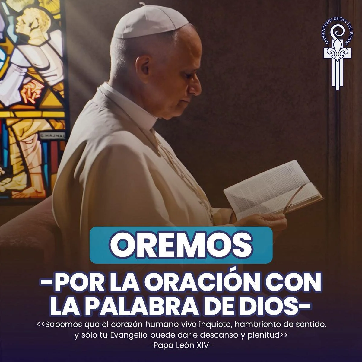 Oramos con el Papa León XIV por la oración con la Palabra de Dios