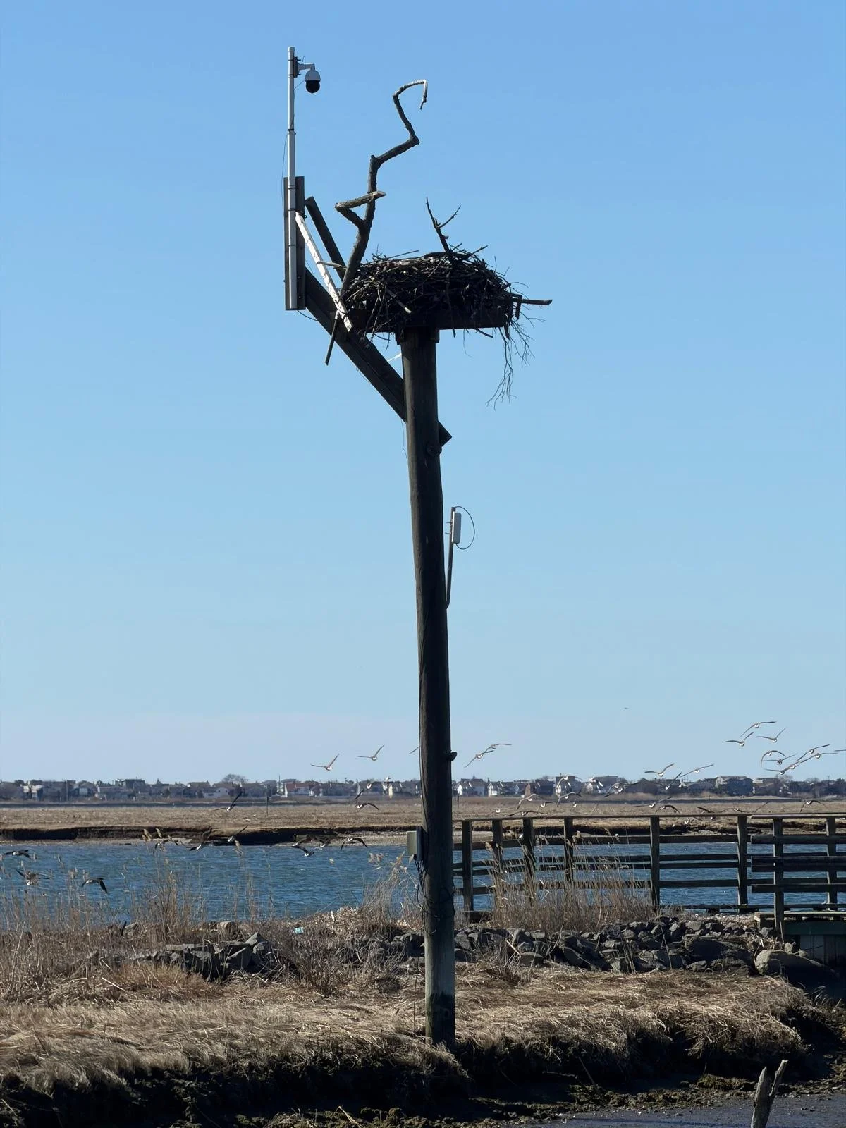 PHOTO-2026-04-11-19-42-27 15.jpg