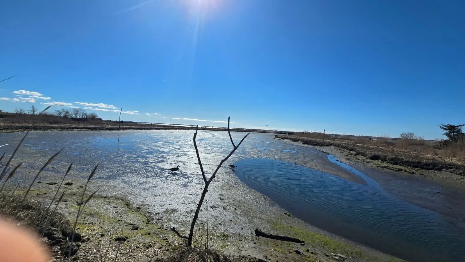 PHOTO-2026-04-11-19-40-38 3.jpg