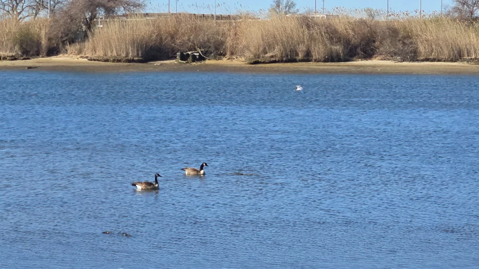 PHOTO-2026-04-11-19-40-38 4.jpg