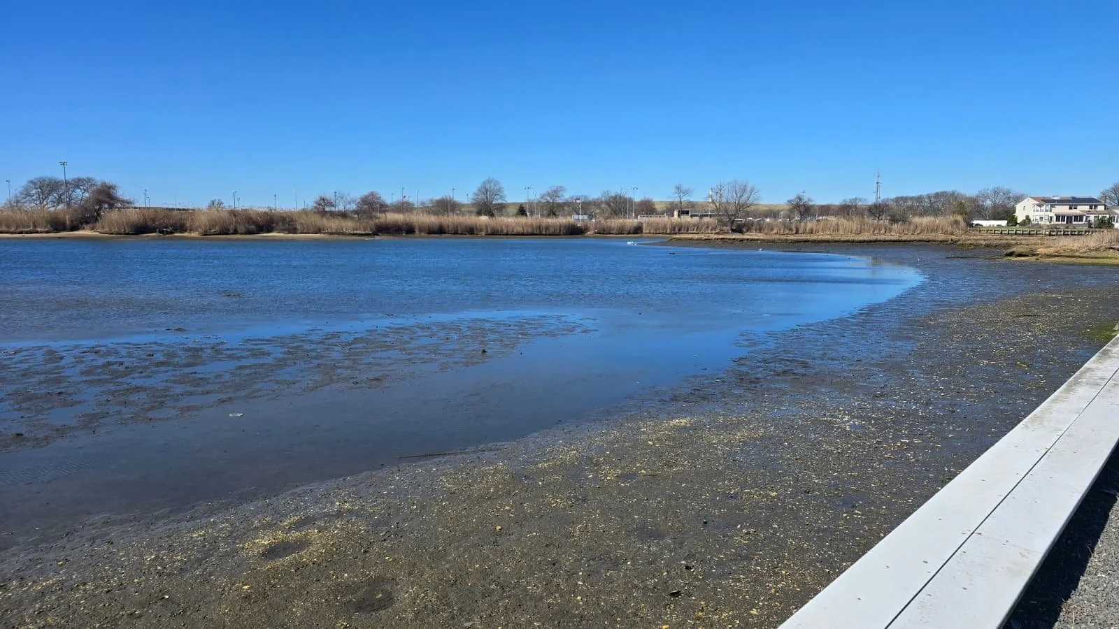 PHOTO-2026-04-11-19-40-37 8.jpg