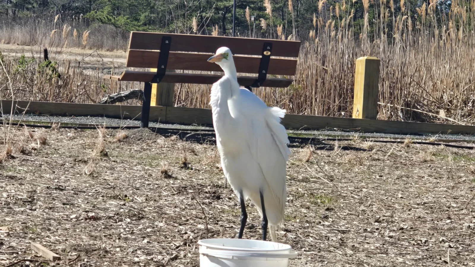 PHOTO-2026-04-11-19-40-37 6.jpg